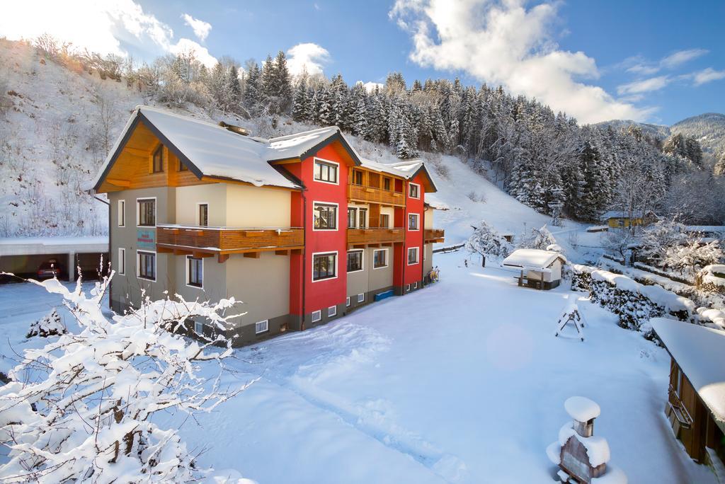 Haus Birnbacher Mühlbach am Hochkönig エクステリア 写真