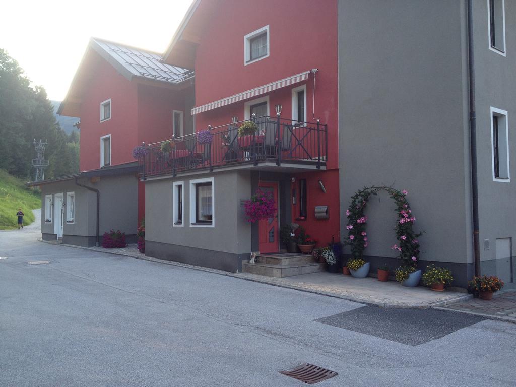 Haus Birnbacher Mühlbach am Hochkönig エクステリア 写真